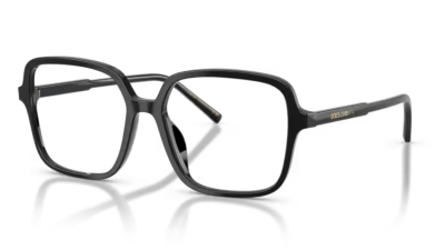 DOLCE & GABBANA 3442